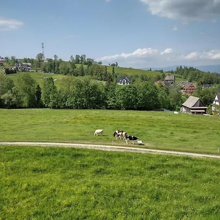 Goscinne U Teresy Konukevi